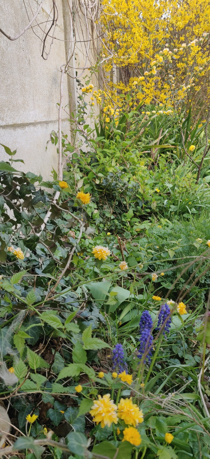 Annexe BioDiversité.jpg