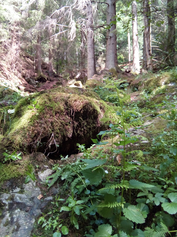 Annexe foret noire.jpg