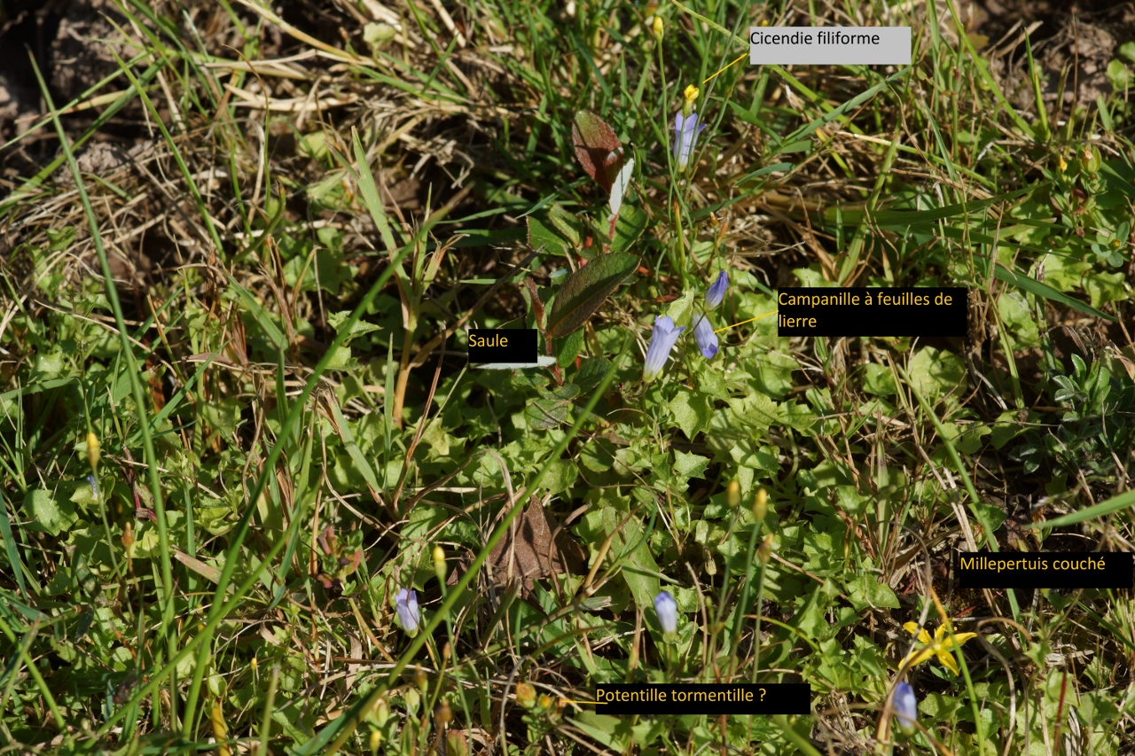 Annexe DSC02236 (1280x853).jpg