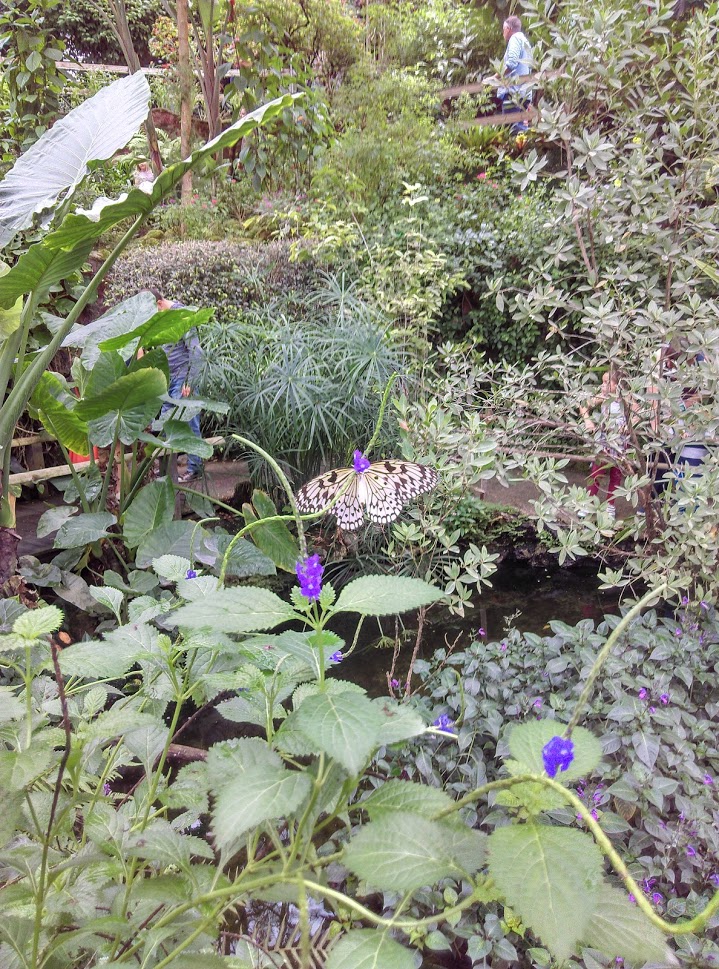 Annexe biodiversité.jpg