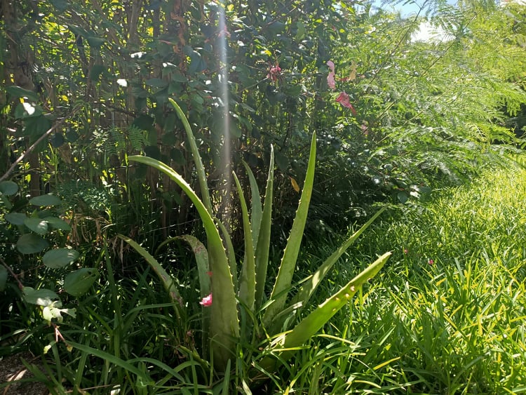 Annexe 91500884_218732749473431_2249736721849647104_n.jpg