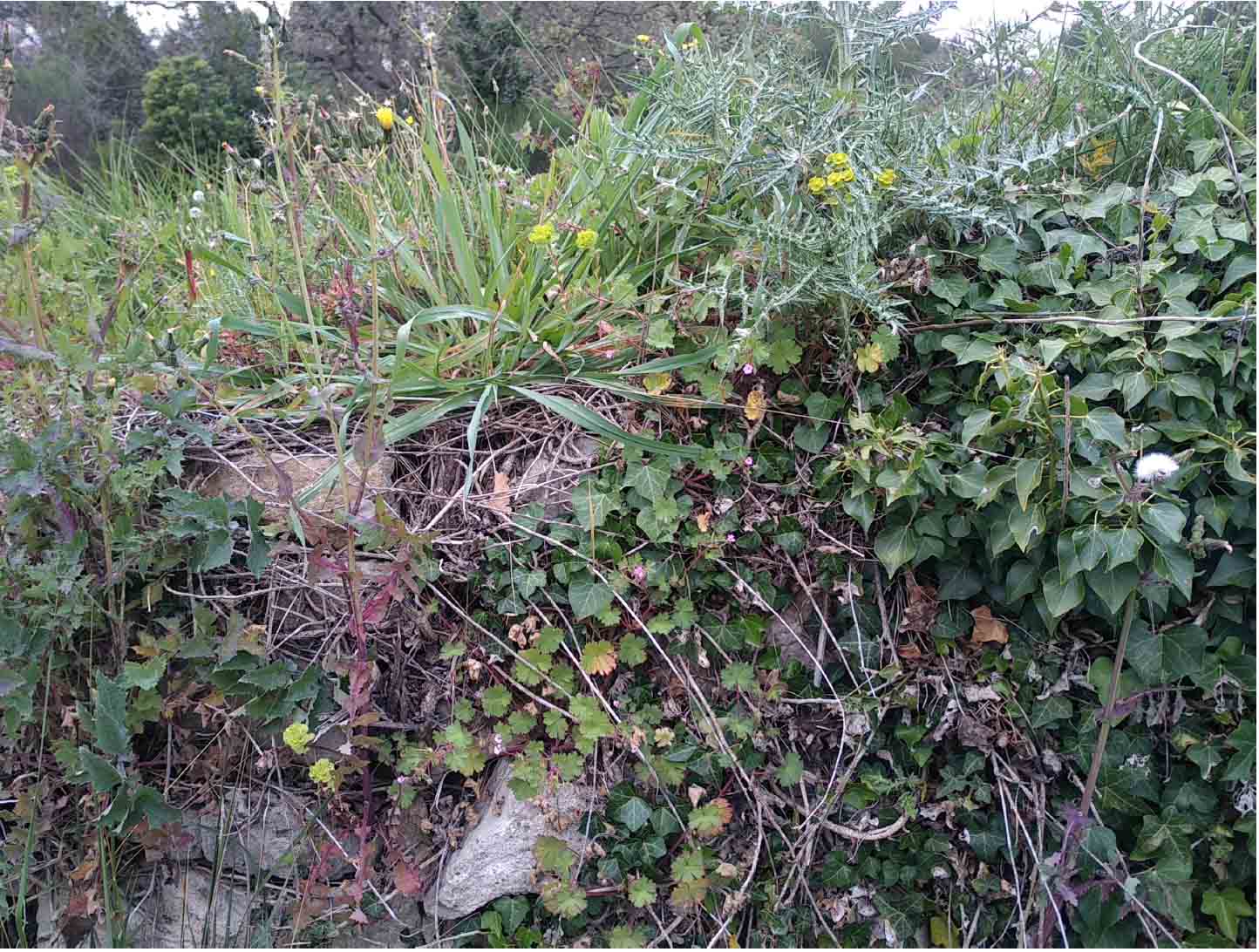 Annexe Capture d’écran 2020-03-31 à 09.02.15.jpg