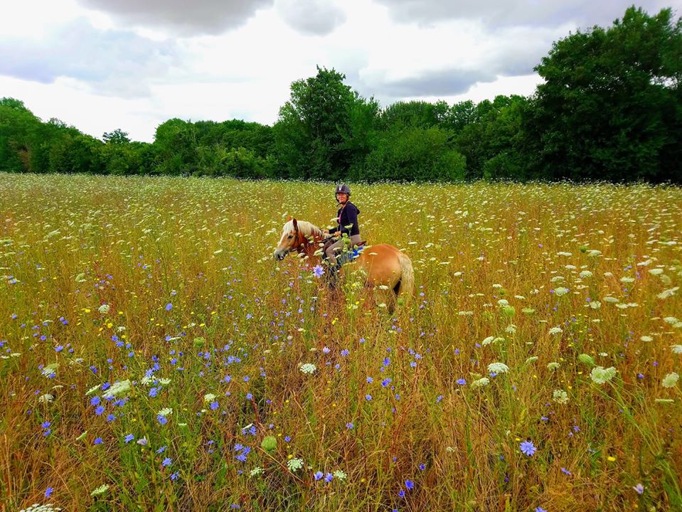 Annexe mooc paysage.jpg