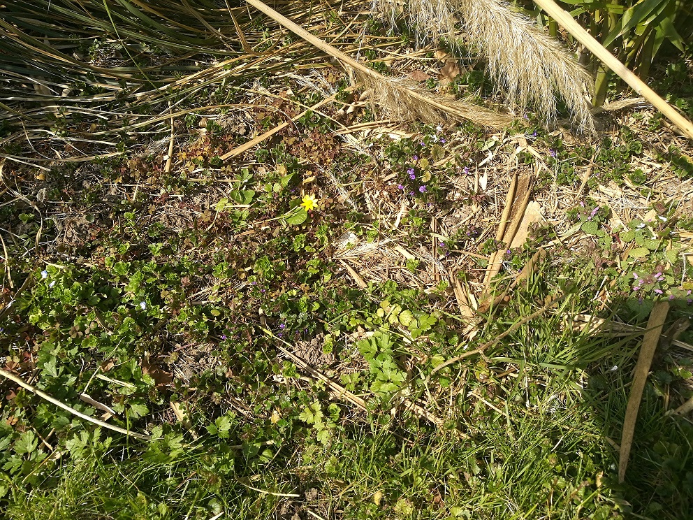 Annexe IMG_20200327_142442.jpg