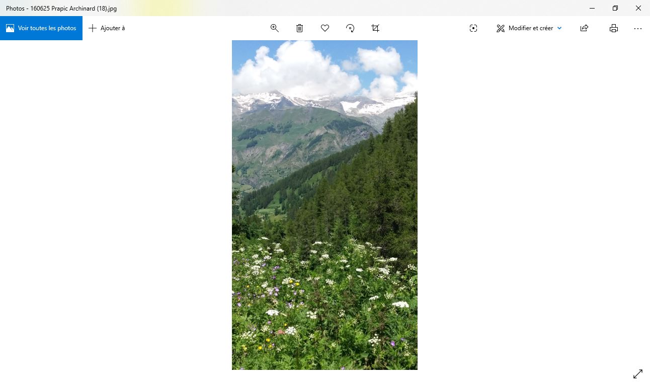 Annexe Capture Archinard.JPG