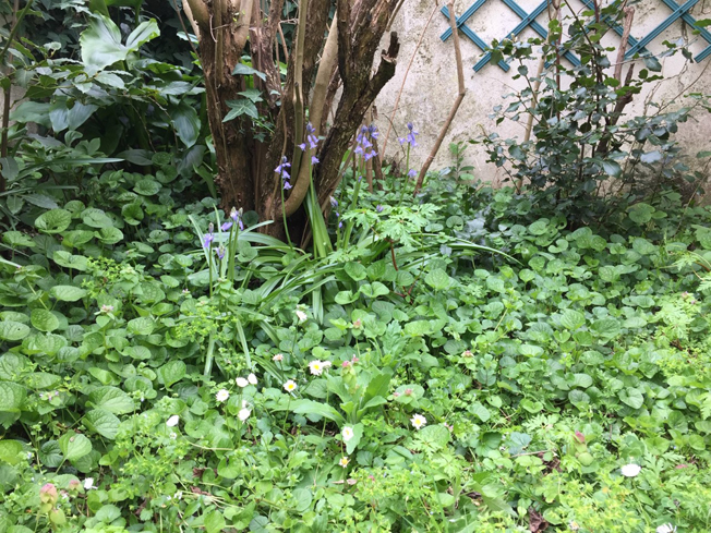 Annexe IMG_2652_1.jpg