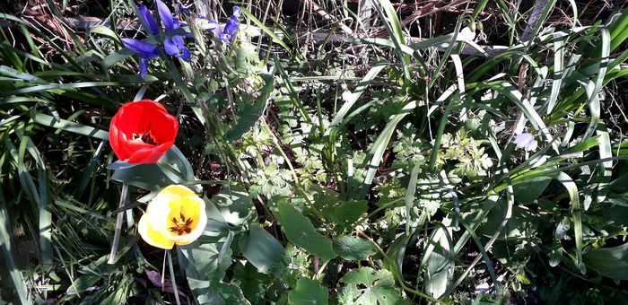 Annexe 20200331_130430_resultat.jpg