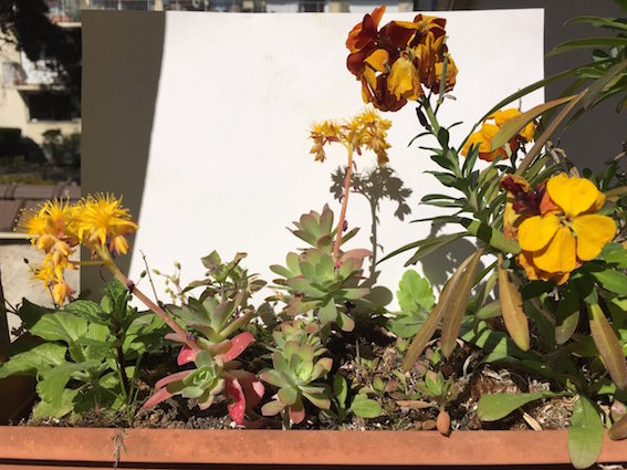 Annexe IMG_7632_Easy-Resize.com.jpg