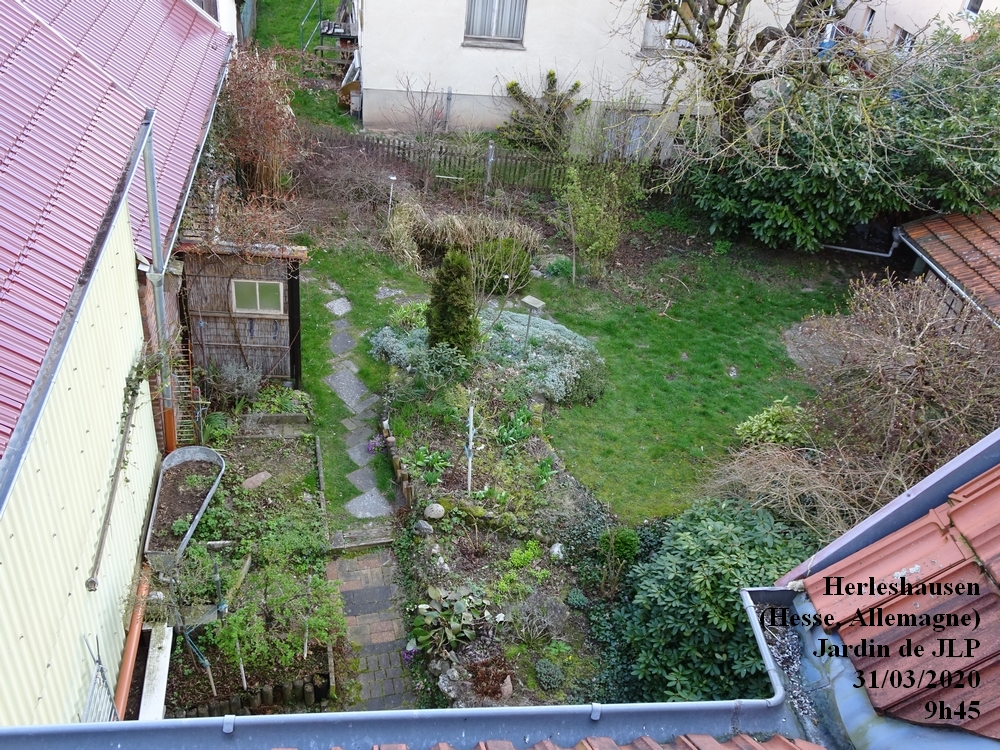 Annexe 1-Jardin-de-JLP-ensemble.jpg