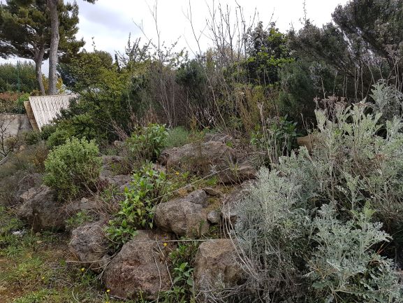 Annexe 20200331_151400.jpg