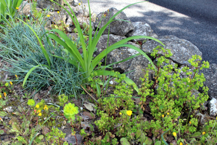 Annexe Biodiversité.JPG