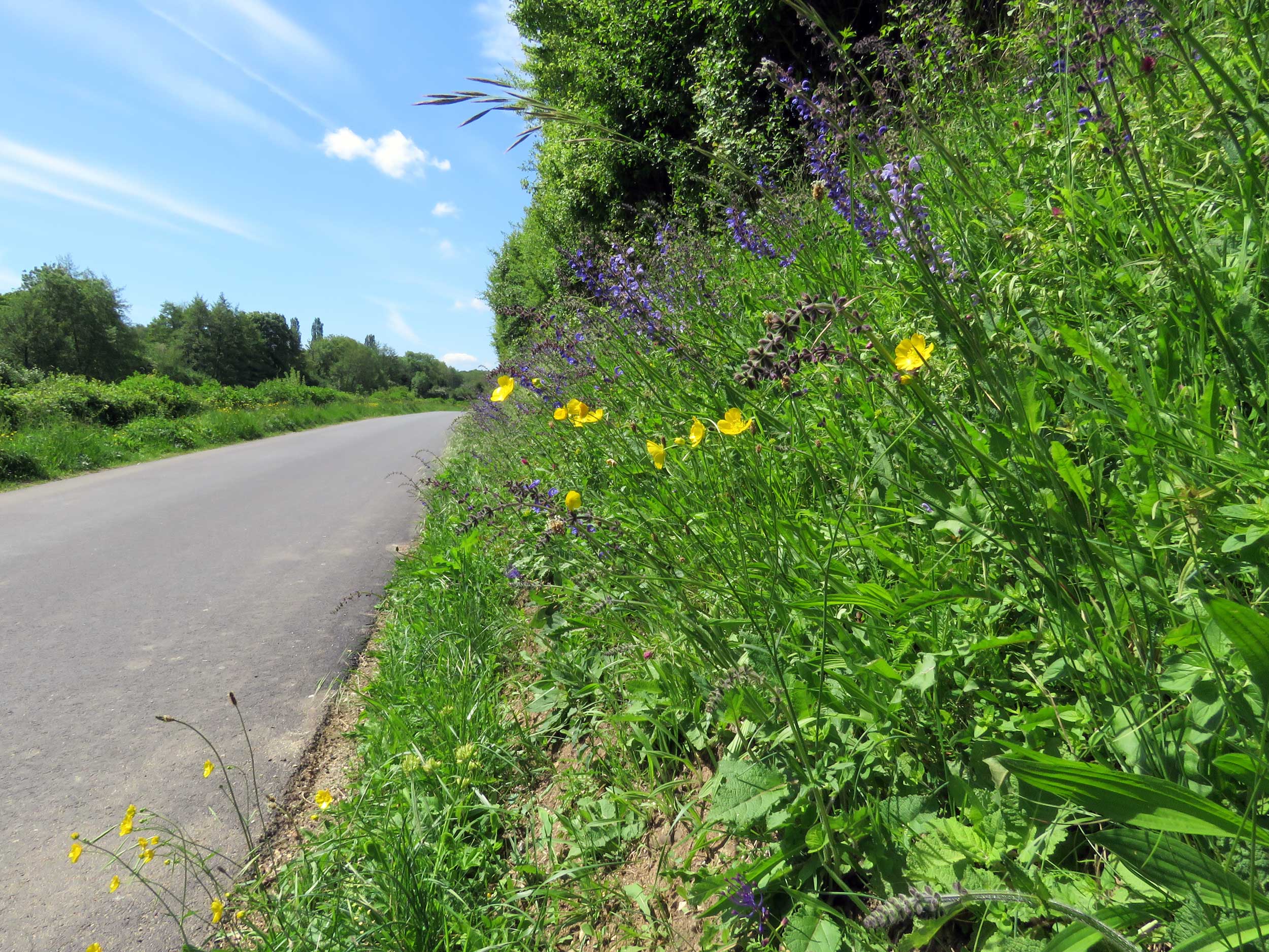 Annexe 18052015-IMG_0314_w.jpg