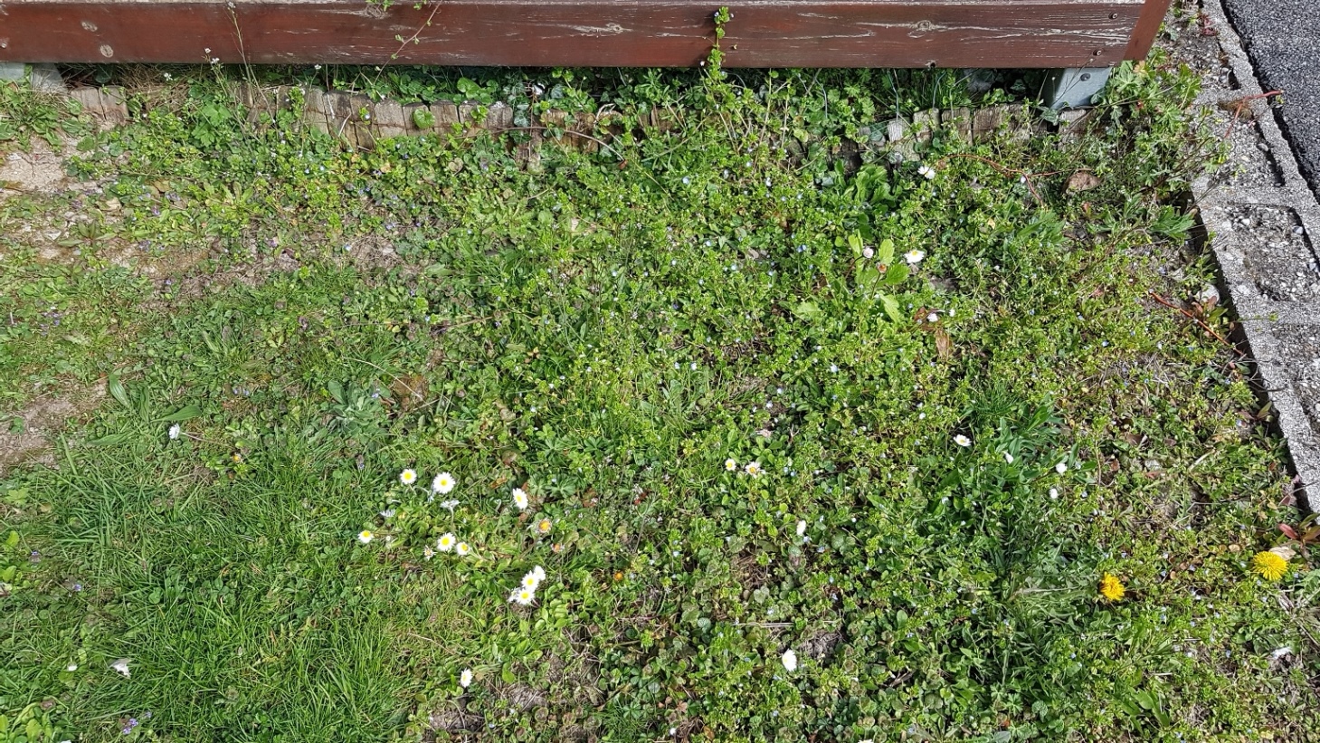 Annexe Devant la maison.jpg