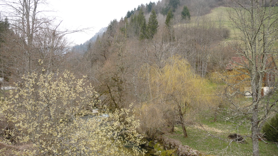 Annexe Atelier2_7b2.jpg