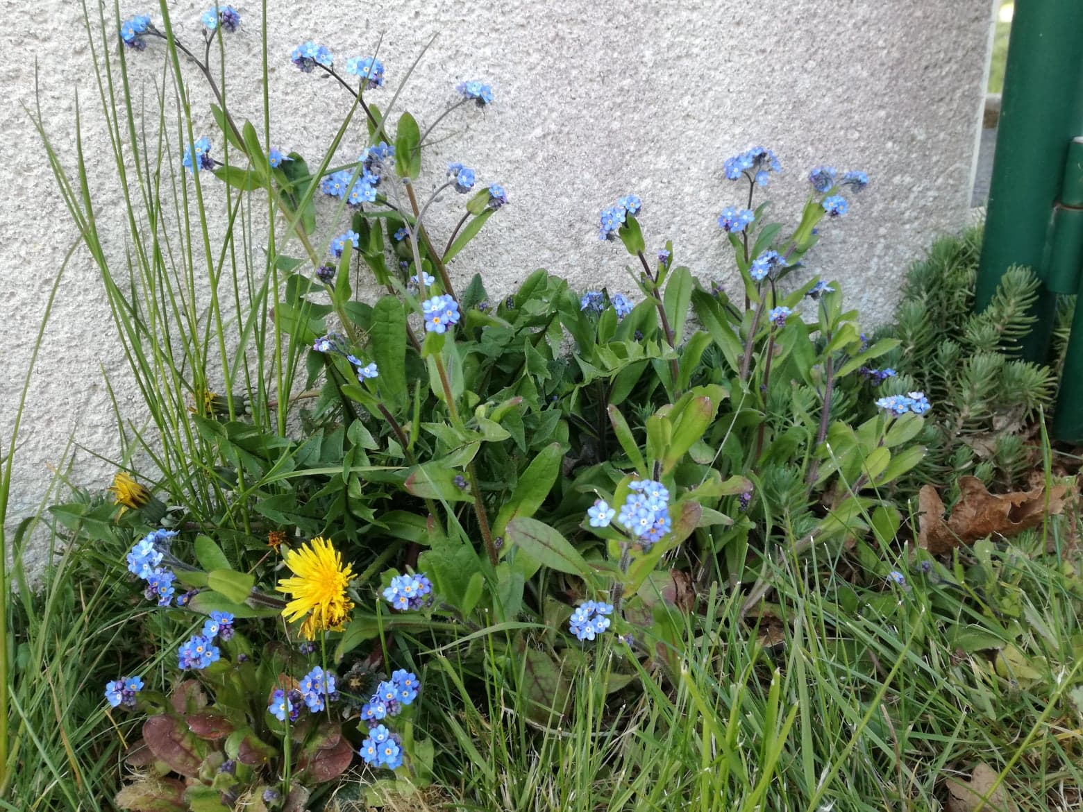 Annexe 92037255_202284841067531_621442563269722112_n.jpg