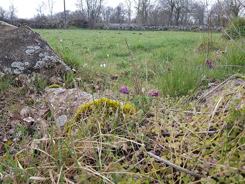 Annexe 20200331_155617.jpg