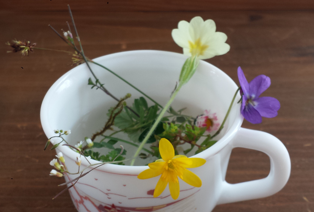 Annexe 20200331_154311a.jpg