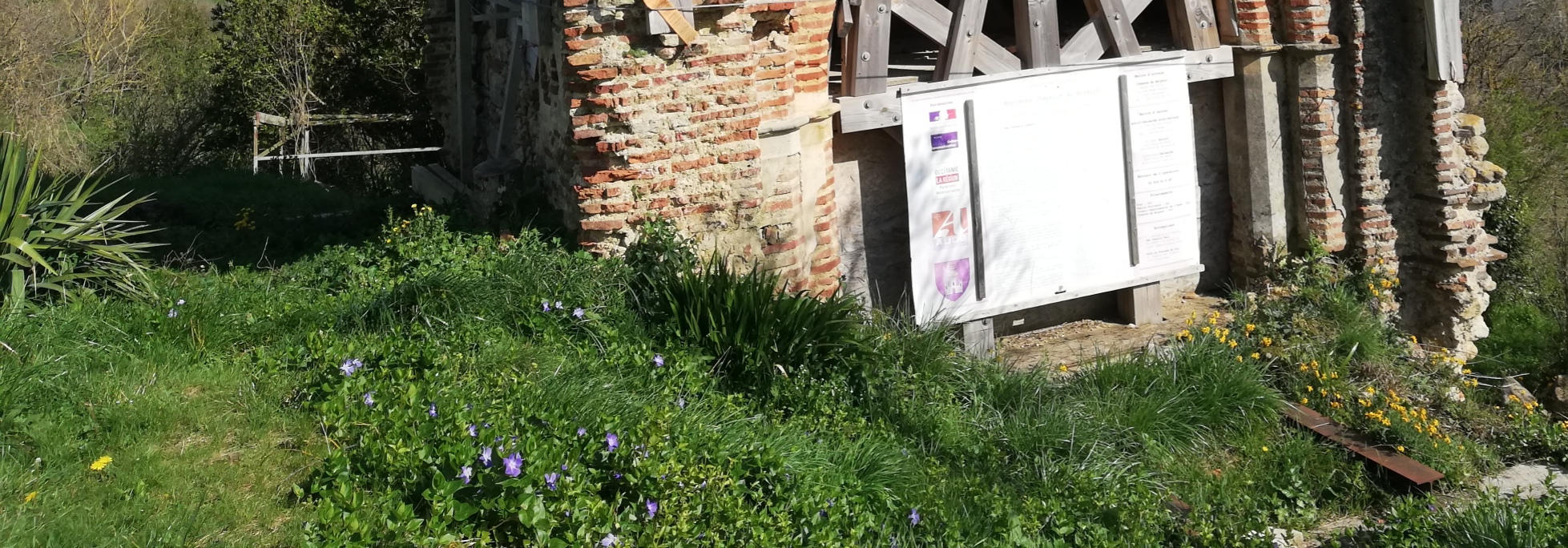 Annexe Biodiversité.jpg