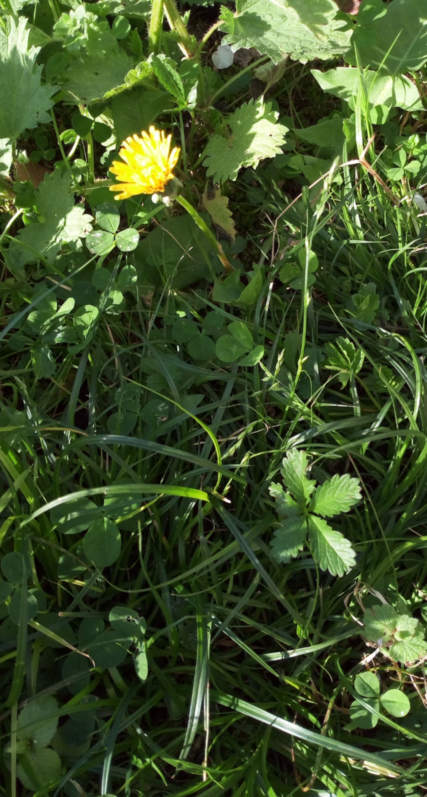 Annexe 91257831_218021379419175_7375381423387049984_n.jpg