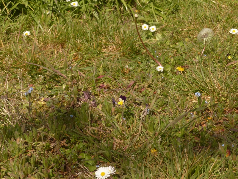 Annexe P1140875r.jpg