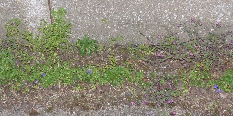 Annexe P1140878r.jpg