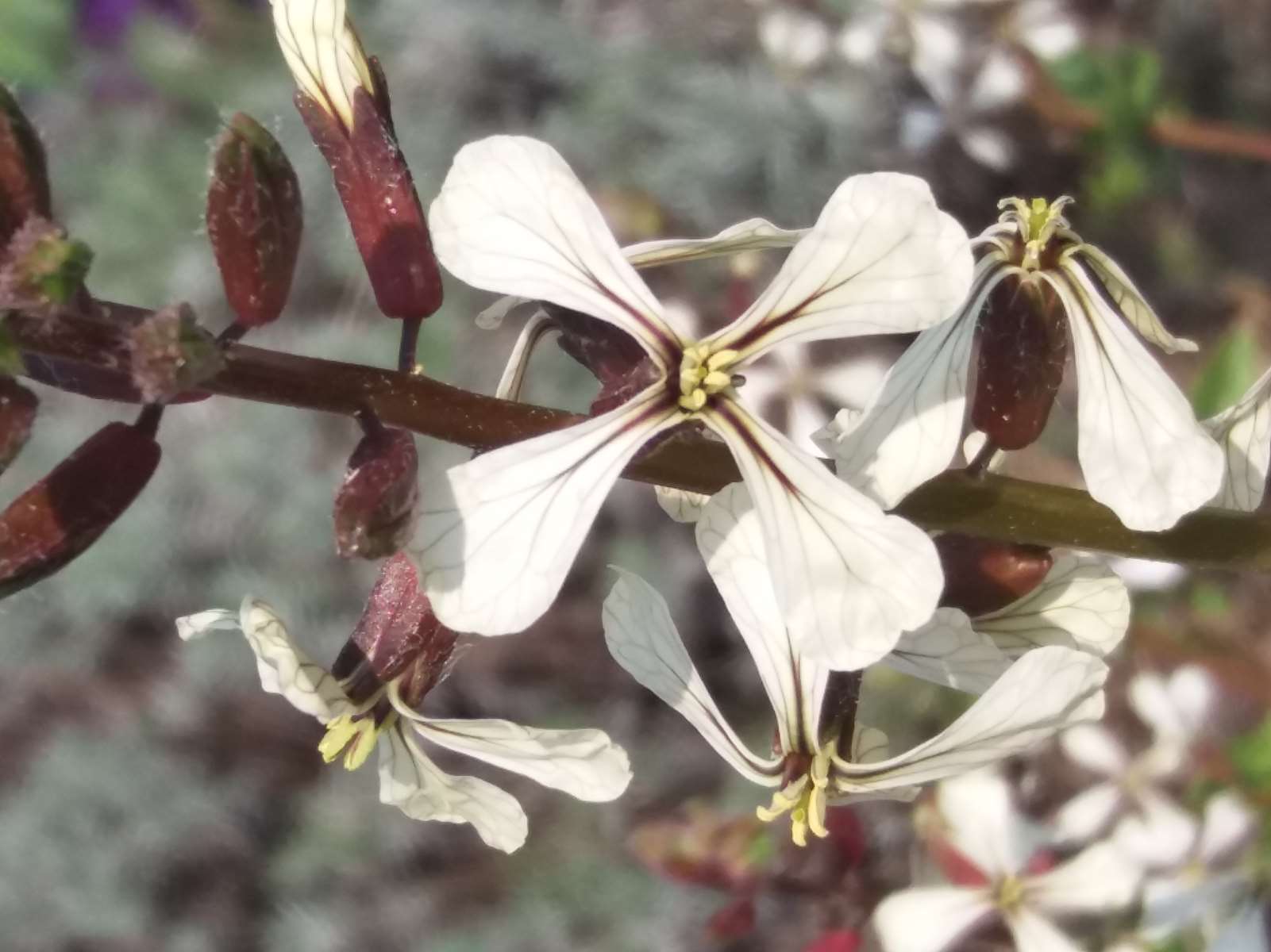 Annexe _copie-0_20200328_114822.jpg