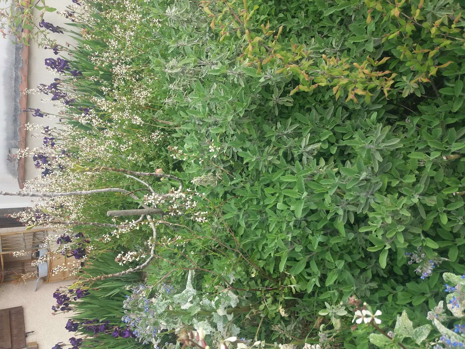 Annexe _copie-0_20200329_105901.jpg