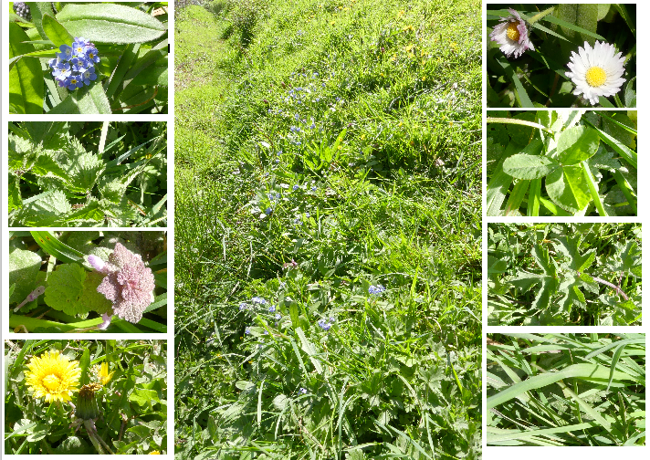 Annexe biodiv BdG.png