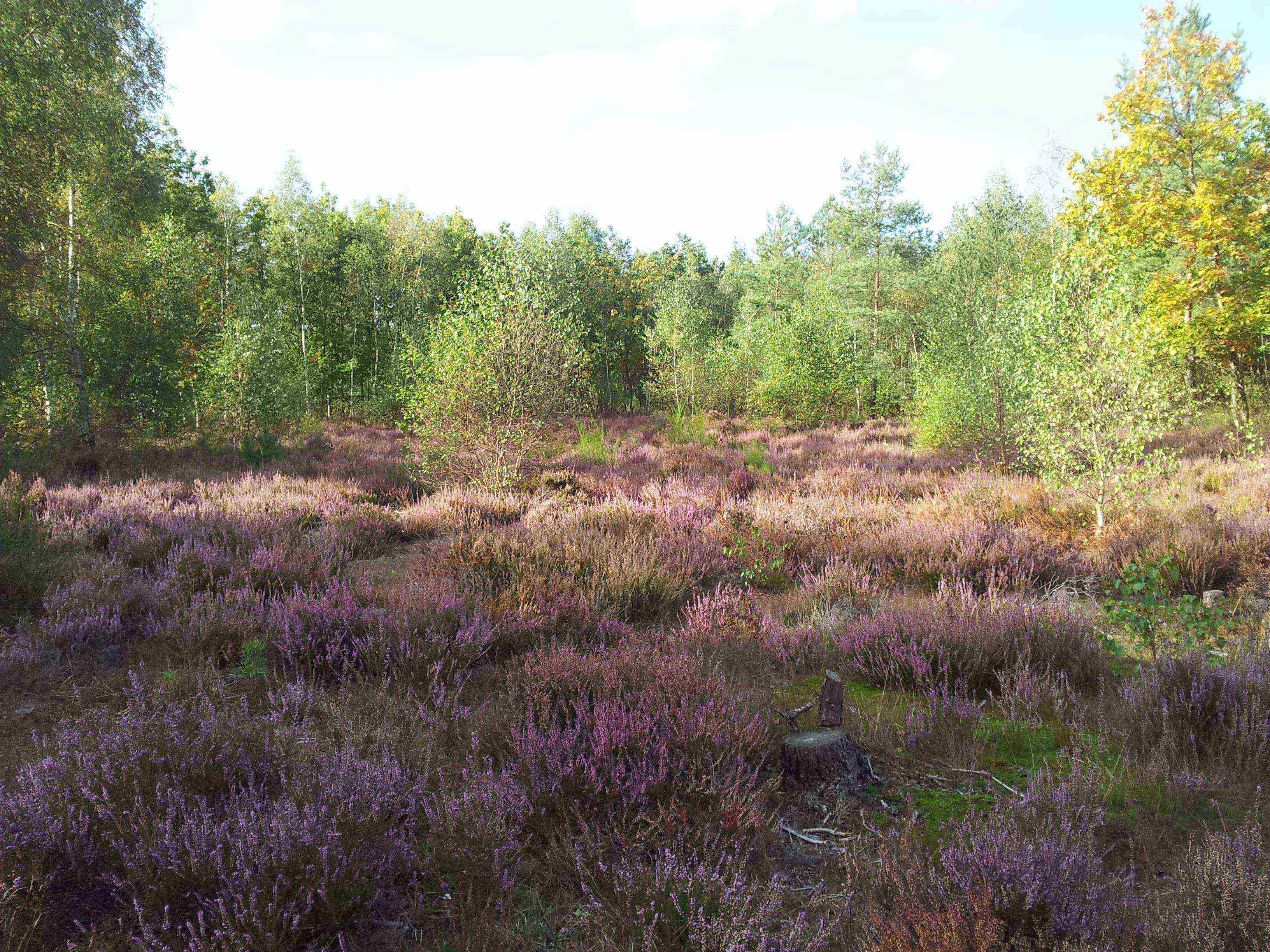 Annexe 20120929_163304.jpg