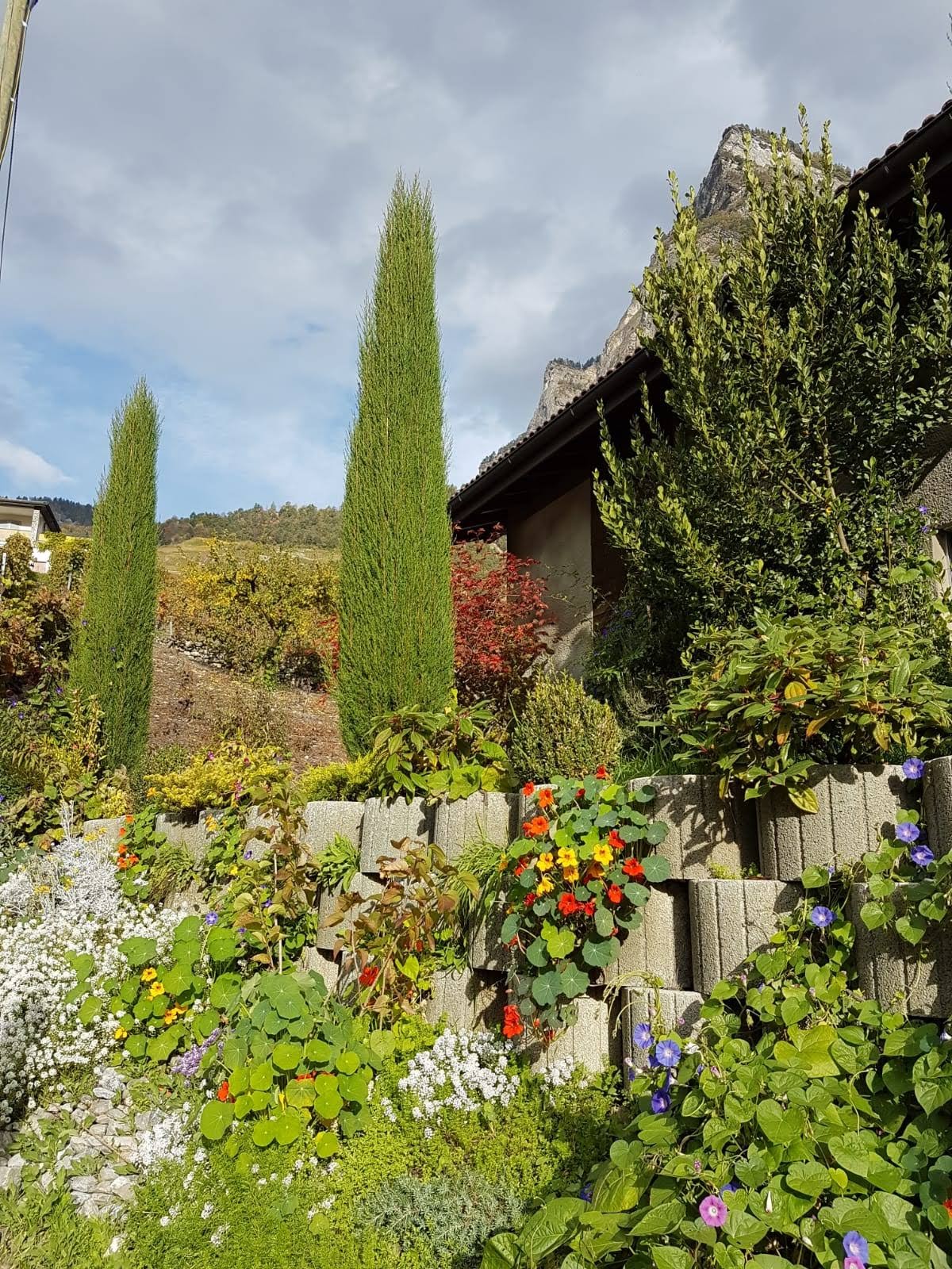 Annexe IMG-20200330-WA0003.jpg