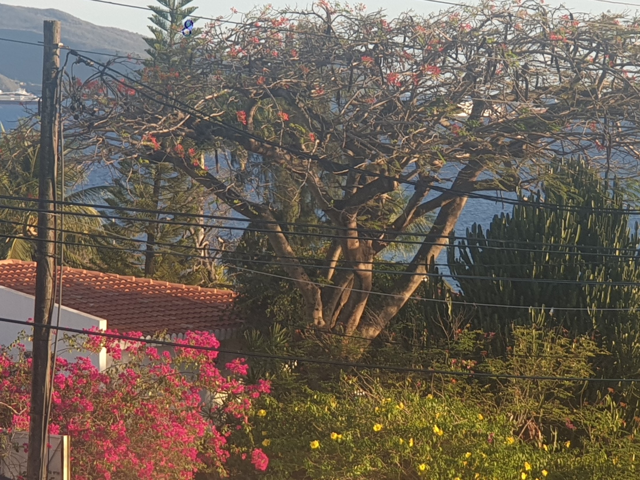 Annexe Vue Loggia.jpg