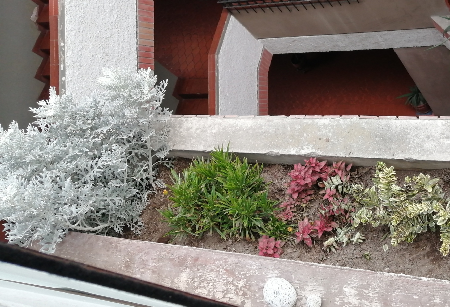 Annexe photo balcon plantes.jpg