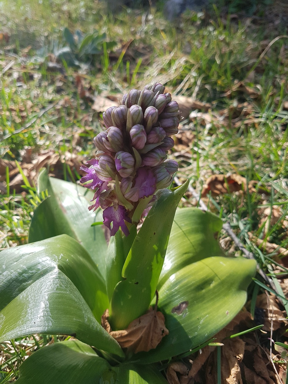 Annexe 20200310_125053.jpg