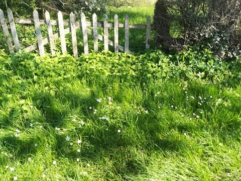 Annexe 91743052_220823732363660_3724210801431543808_n.jpg