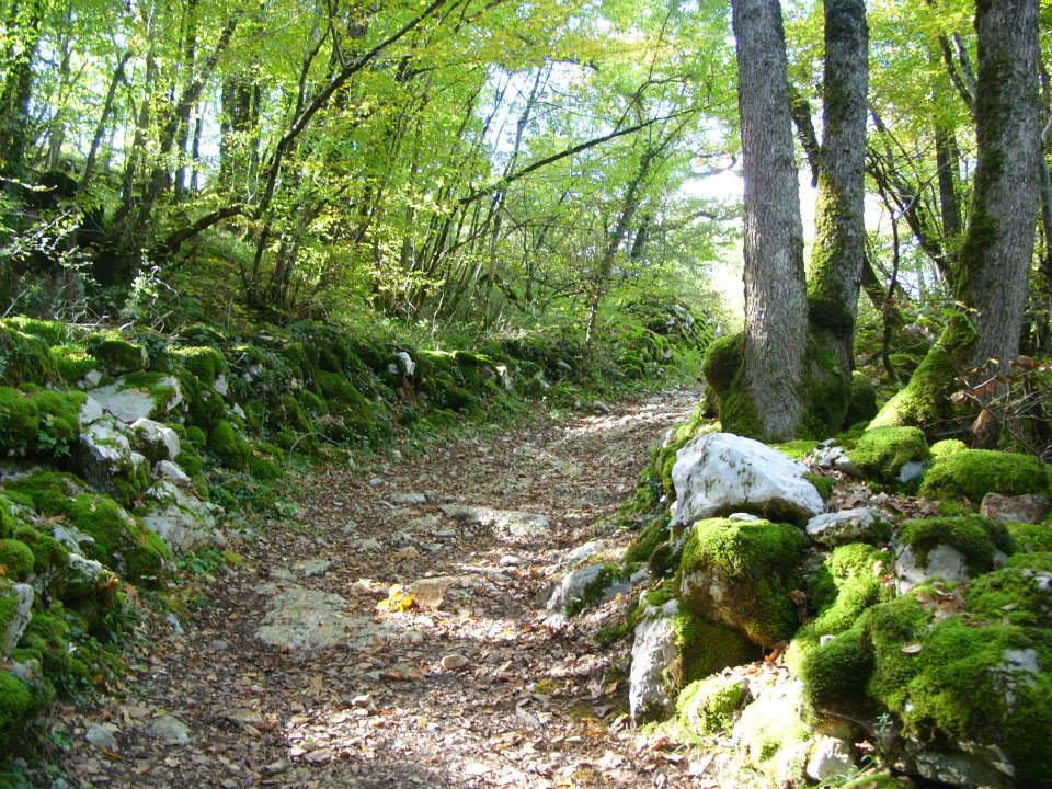 Annexe © Laura Delprat.jpg