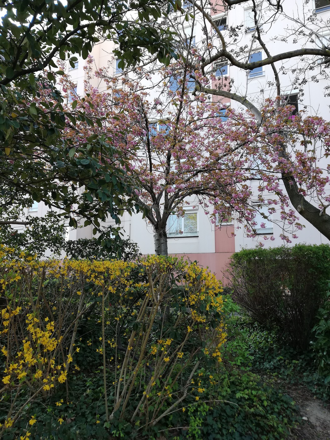 Annexe IMG_20200331_174530.jpg