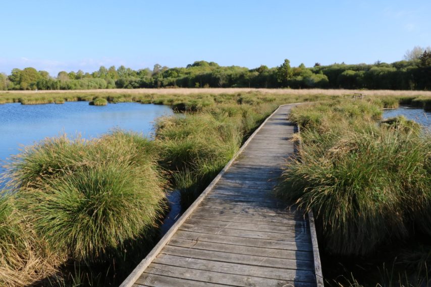 Annexe 25049-180509175541625-3-854x569.jpg