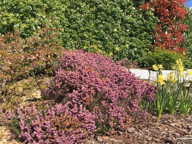 Annexe 59EE1F30-BAB7-4399-903D-5E1AAE8D40D2.jpeg