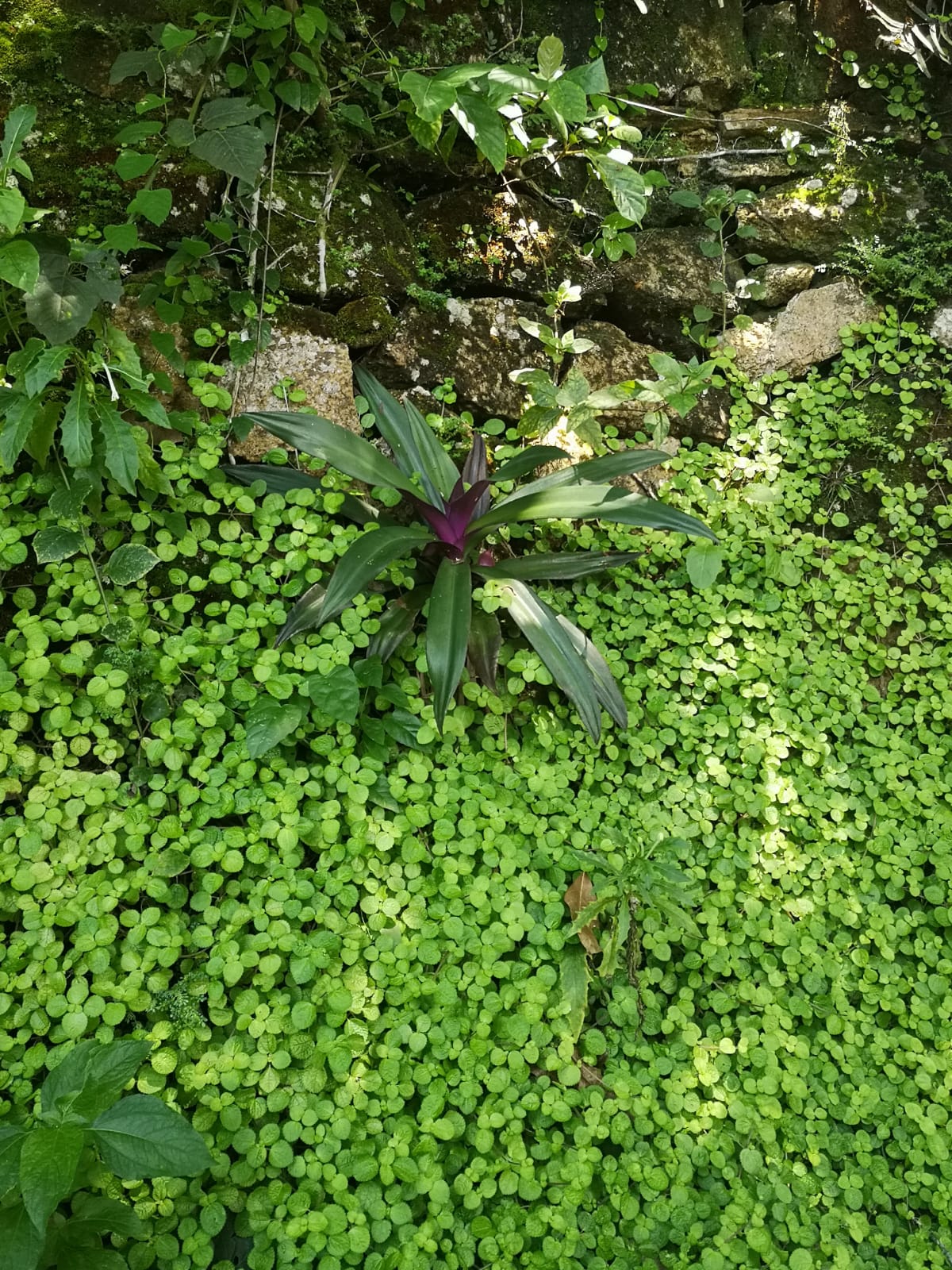 Annexe IMG-20200219-WA0021.jpg