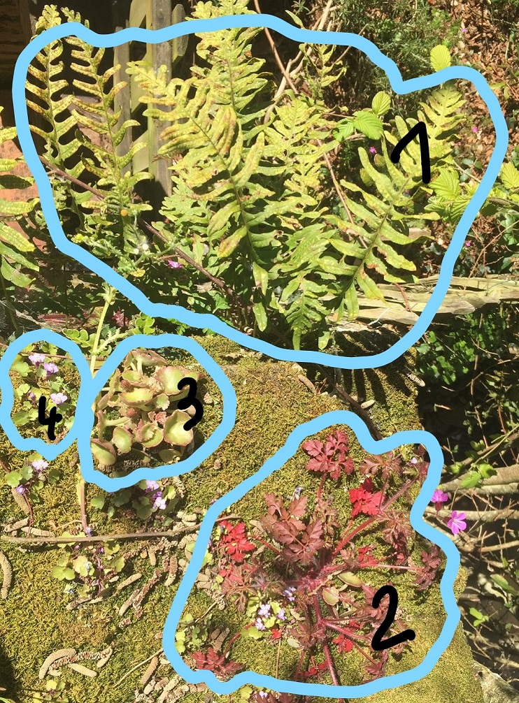 Annexe InkedIMG_9291_LI.jpg