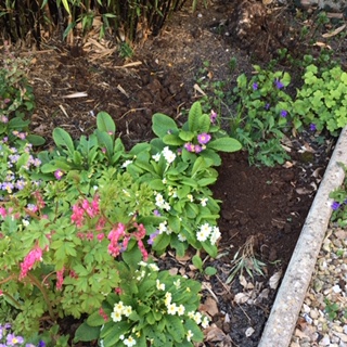 Annexe IMG_5311 (2).JPG