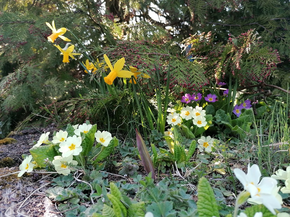 Annexe IMG_20200331_164457.jpg