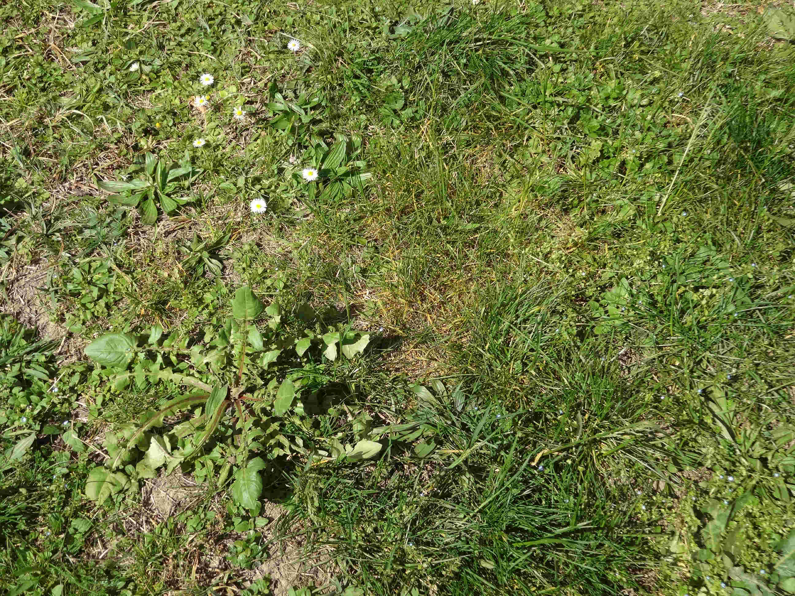 Annexe En bas du 16.jpg