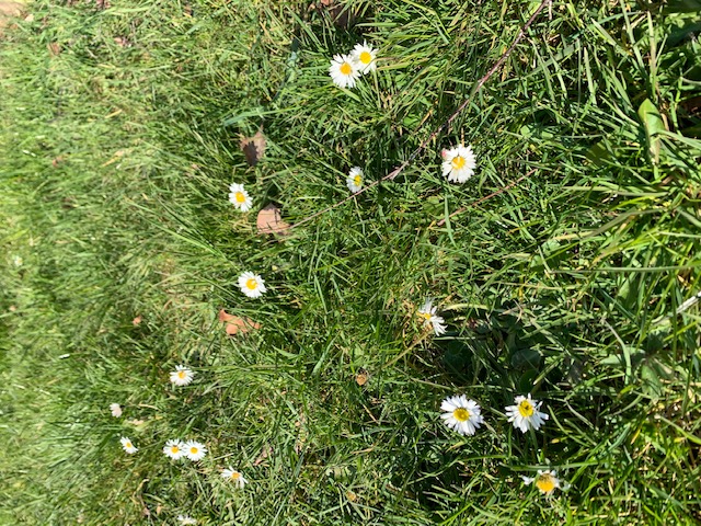 Annexe IMG_3162 (1).jpg