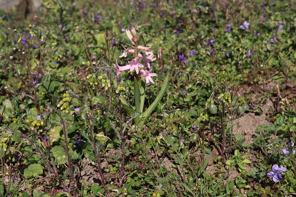 Annexe OK IMG_2772.jpg