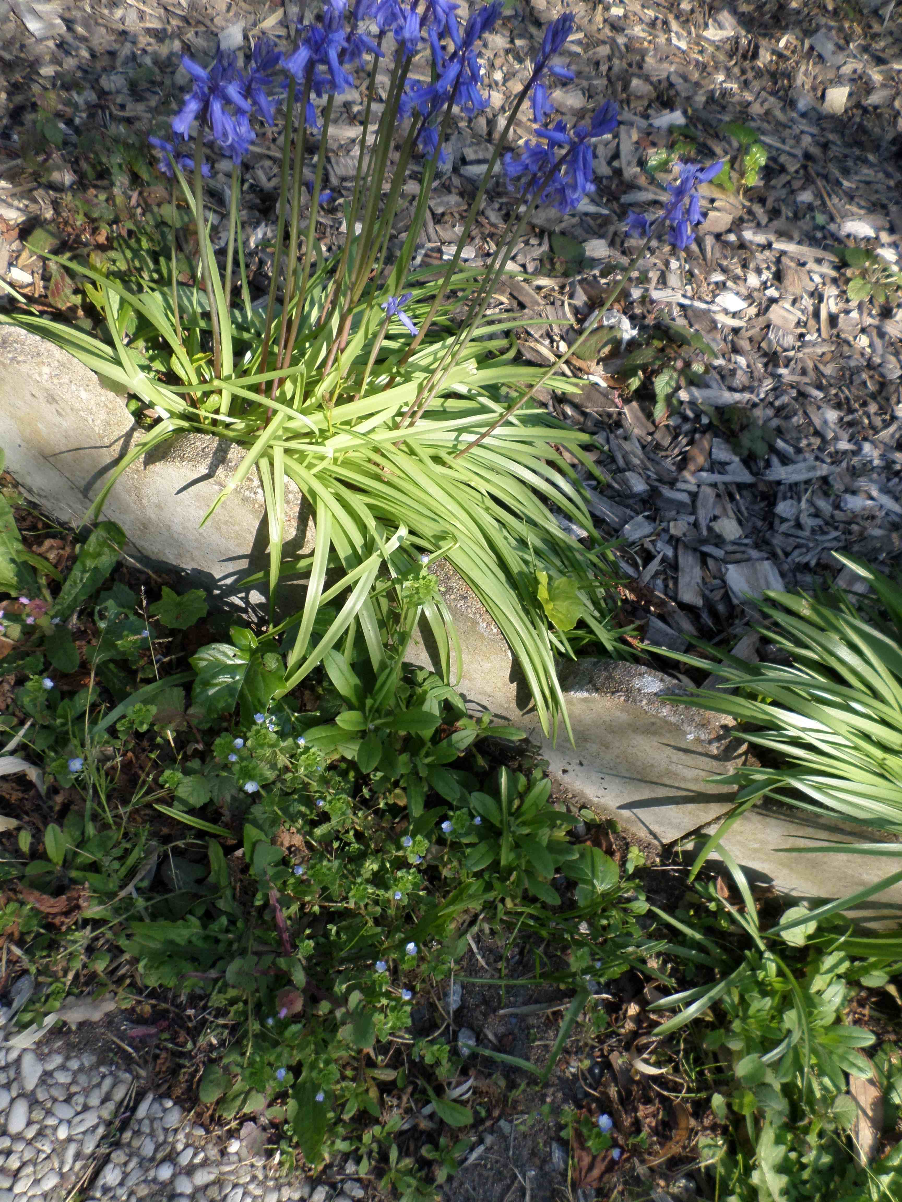 Annexe SAM_6173.jpeg