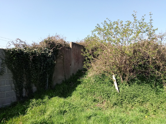 Annexe Sentier_pédestre_Châtelaudren.jpg