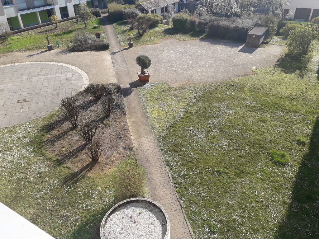 Annexe Photo parc.jpg