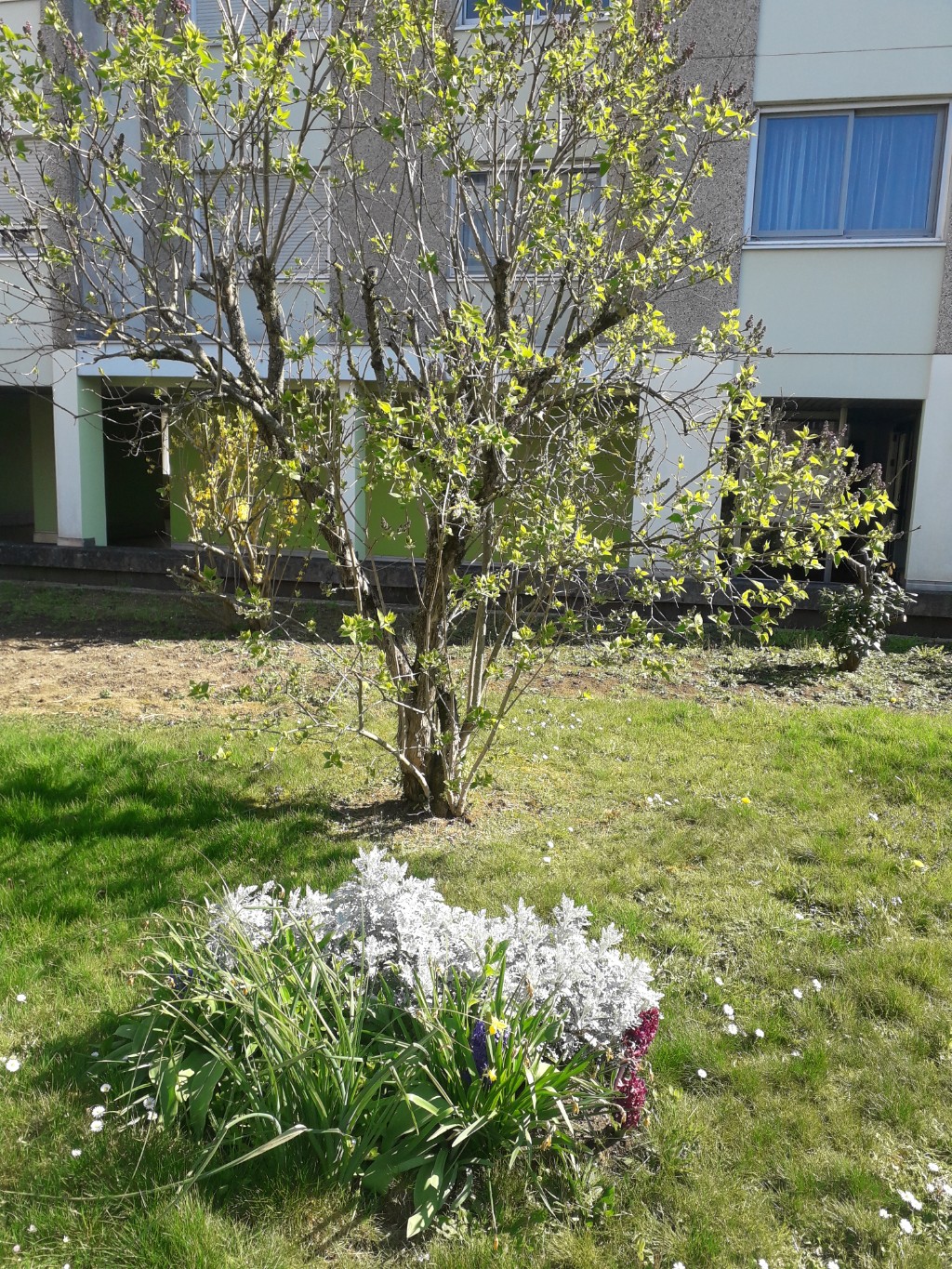 Annexe photo parc 2.jpg