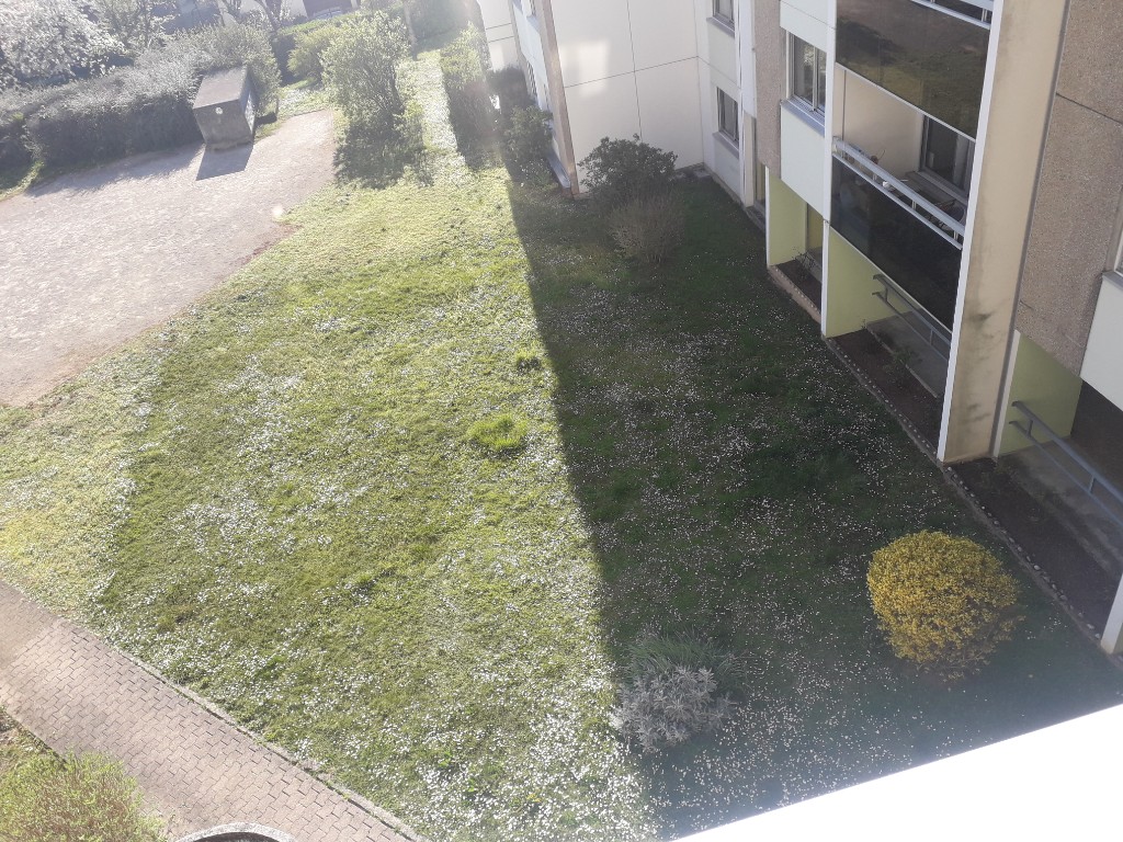 Annexe photo parc BIS.jpg